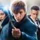 Review: Fantastic Beasts and Where to Find Them
