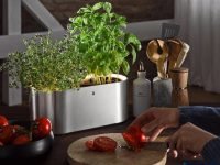 Want to Grow Fresh Herbs at Home? Check This Out!