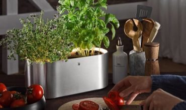 Want to Grow Fresh Herbs at Home? Check This Out!