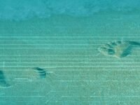 How to minimize your digital footprint