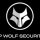 HP Wolf Security insights reports a rise in malware delivering ZIP and RAR files