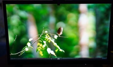 Review: 31.5-inch 4K ASUS ProArt PA32DC OLED Monitor